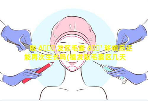 取 🐋 发区毛囊 🌹 移植后还能再次生长吗(植发取毛囊区几天才不会有渗出液)